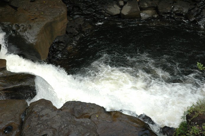 422255806_3cc1ea06db_o