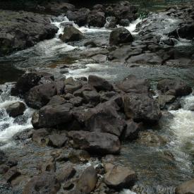 422256746_57fb267e7f_o