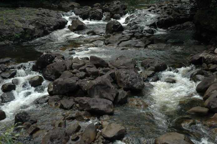 422256746_57fb267e7f_o