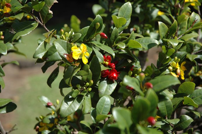 422257807_1ec22453c4_o