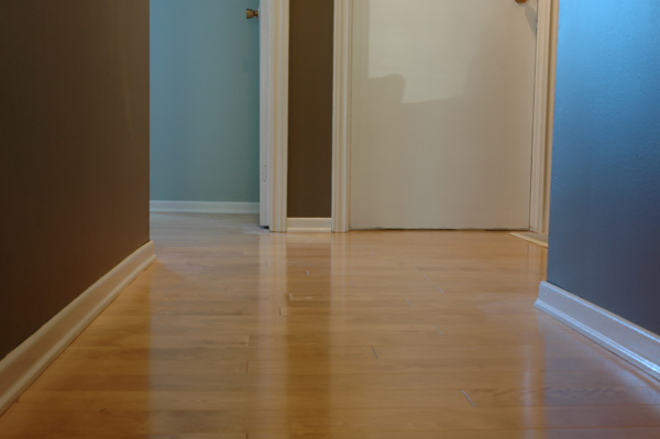 1056125079_2998ee4fa7_o