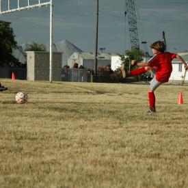 710270095_55f3d8f39f_o