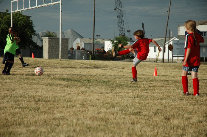 710270095_55f3d8f39f_o