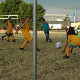 710333723_426e18a97c_o