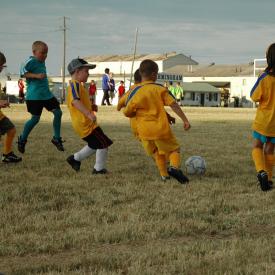 710343777_fbd6f8dfbc_o