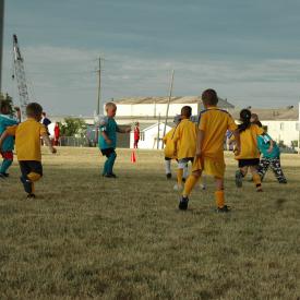 711201446_2e7654d195_o