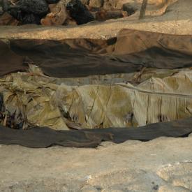 422262631_0978da18e2_o