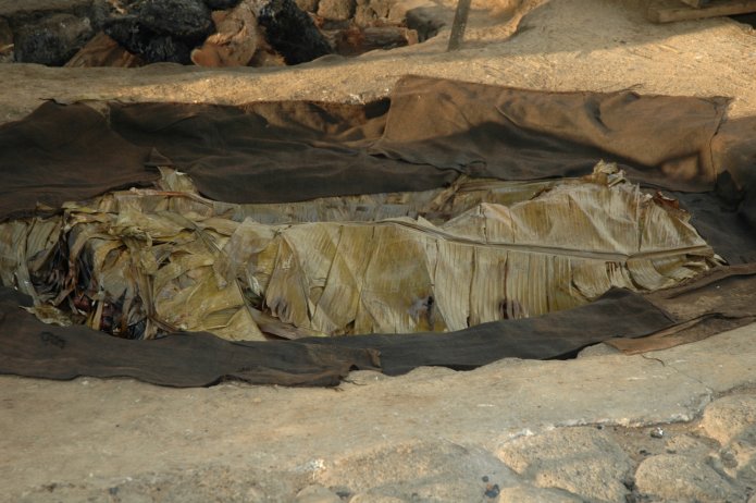 422262631_0978da18e2_o