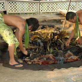 422263403_c5f31f973c_o