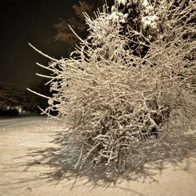 oakhill-snowfall-013