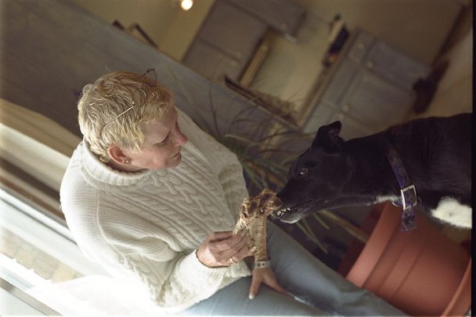 241049343_b2d33e7246_o