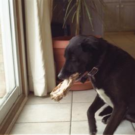 241049373_6f65065559_o