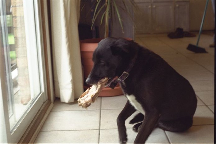 241049373_6f65065559_o