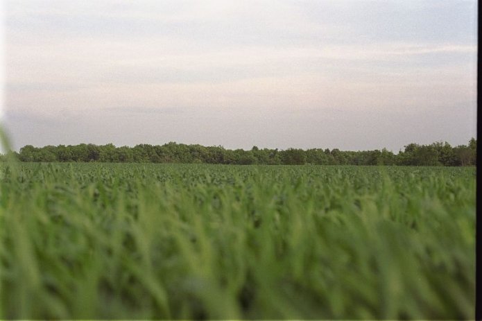 241049409_9d1e7d644b_o