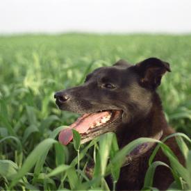 241049461_0484a3357a_o