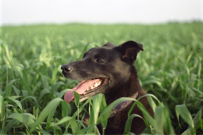 241049461_0484a3357a_o