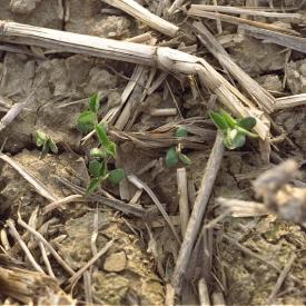 241049569_a849fb7e24_o