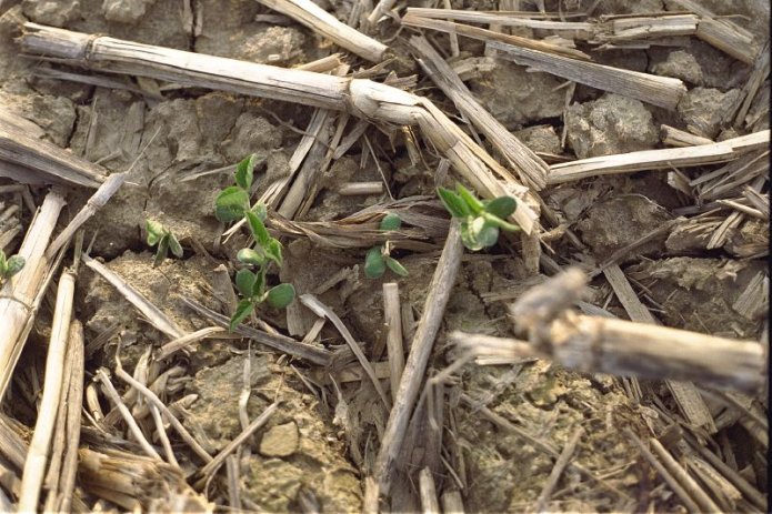 241049569_a849fb7e24_o