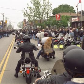 241049798_1ff12ff128_o