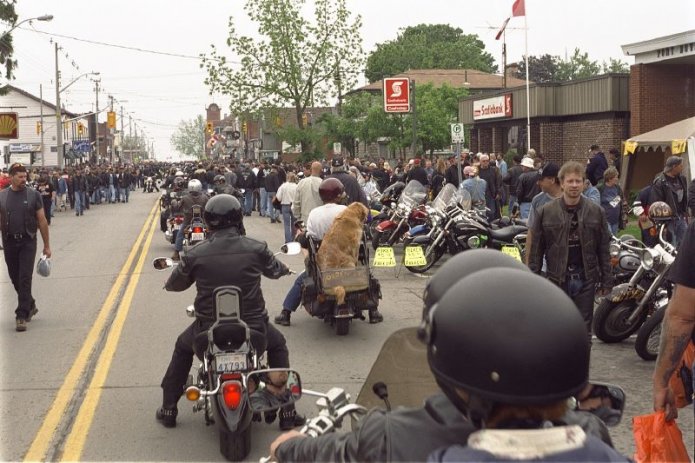 241049798_1ff12ff128_o