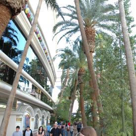 2377803240_f5528f5446_o