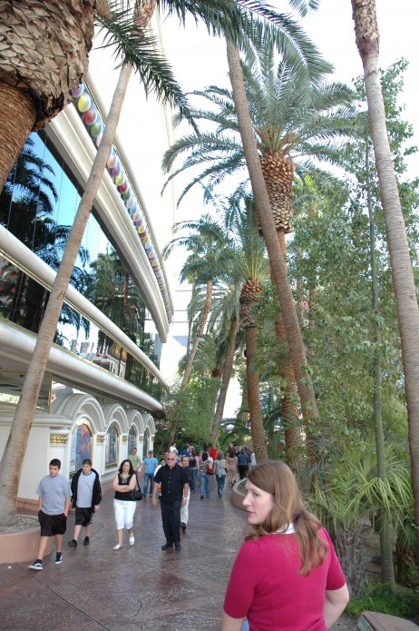 2377803240_f5528f5446_o