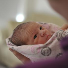 4269955901_31db0c82d5_o