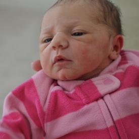 4270692158_884940a393_o