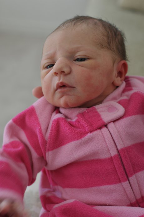 4270692158_884940a393_o