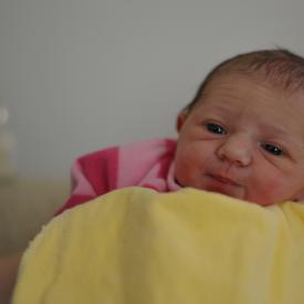 4270695104_ba4d9322ae_o