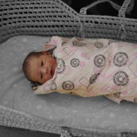 4270701586_8d0835f693_o