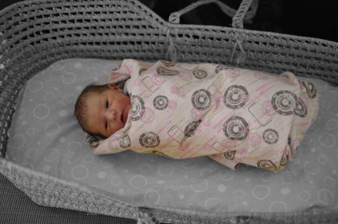 4270701586_8d0835f693_o