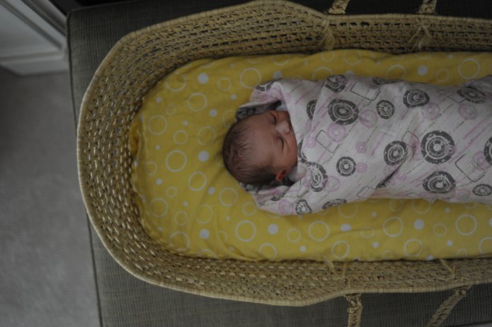 4270704372_b61077b459_o