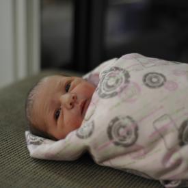 4270707022_f2ed0ab831_o