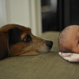 4270709606_1b06f55f3f_o