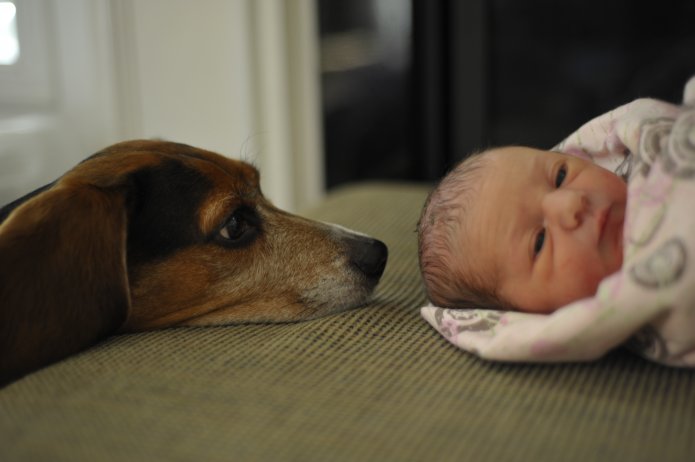 4270709606_1b06f55f3f_o