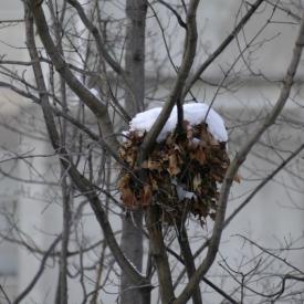 241074893_8a05021ac8_o