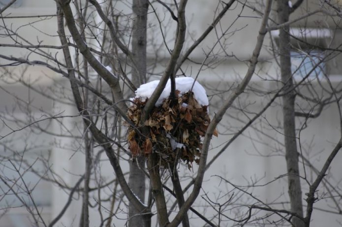 241074893_8a05021ac8_o