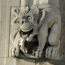 241075011_b8dfa4b826_o