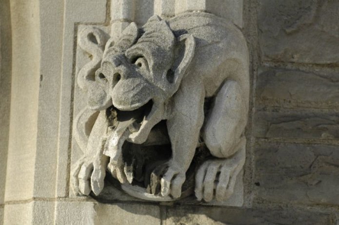 241075011_b8dfa4b826_o