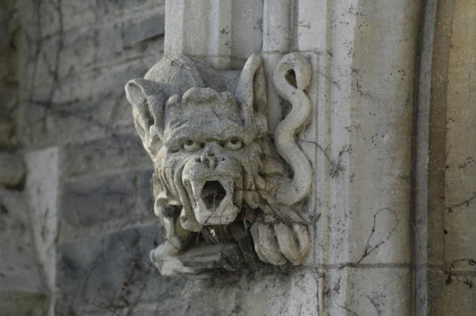 241075042_b245036ec5_o