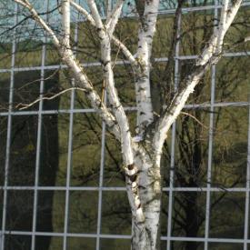 241075204_58f7659cac_o