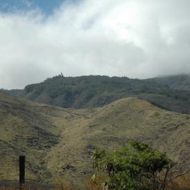 422278994_aa0361b00c_o