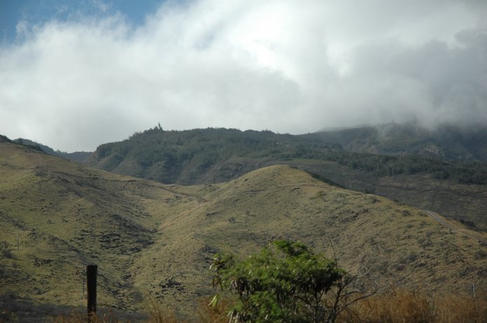 422278994_aa0361b00c_o