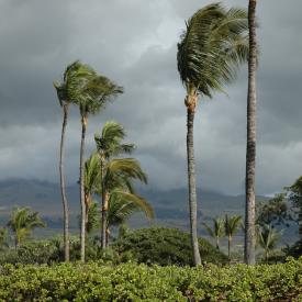 422282788_6be6590c1c_o