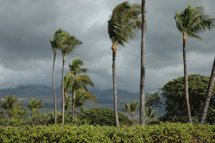 422282788_6be6590c1c_o