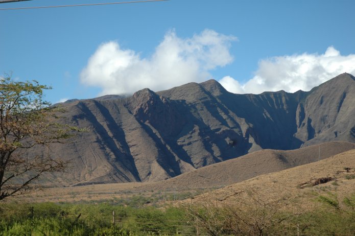 422288611_295efdbb78_o