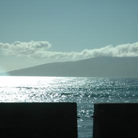 422291166_94de222274_o