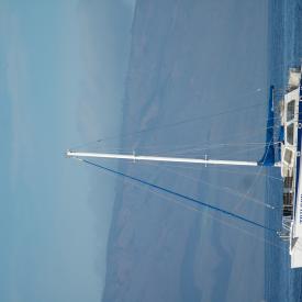 422294830_f370ad7200_o