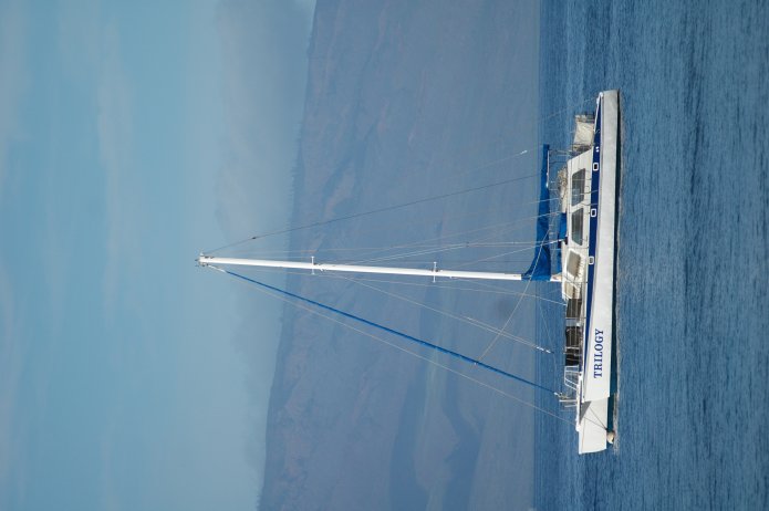 422294830_f370ad7200_o